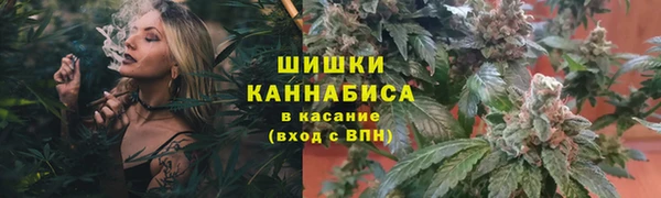 амф Козловка