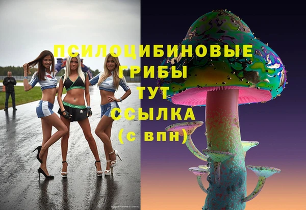 амфетамин Козельск