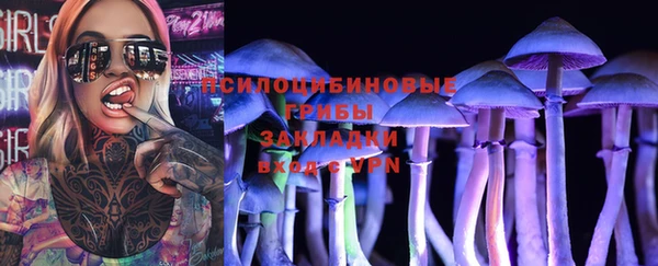 амф Козловка