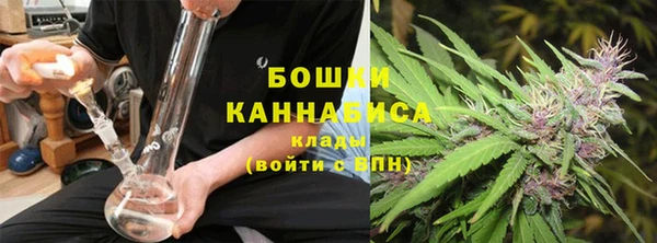 амф Козловка
